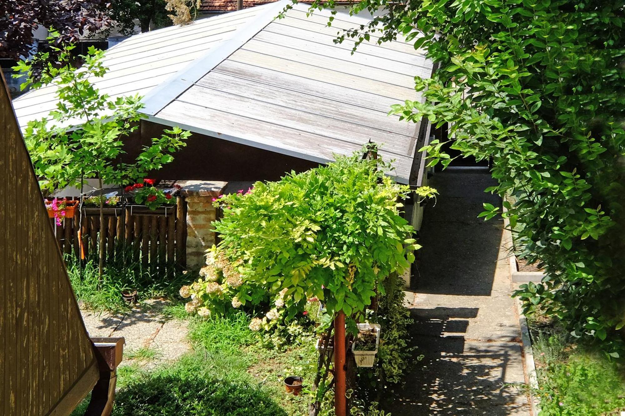 Red Tree Apartment Beograd Bagian luar foto